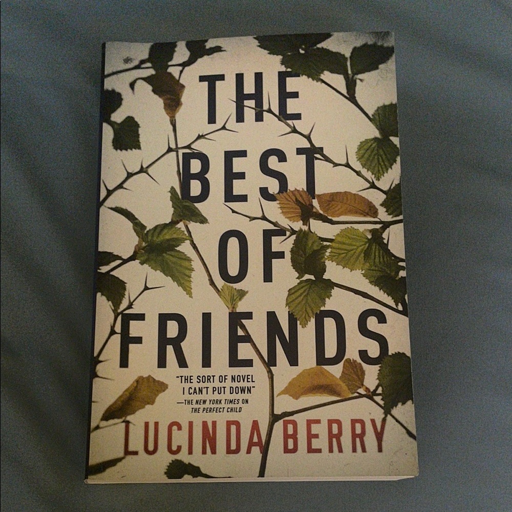 The Best of Friends Paperback Book